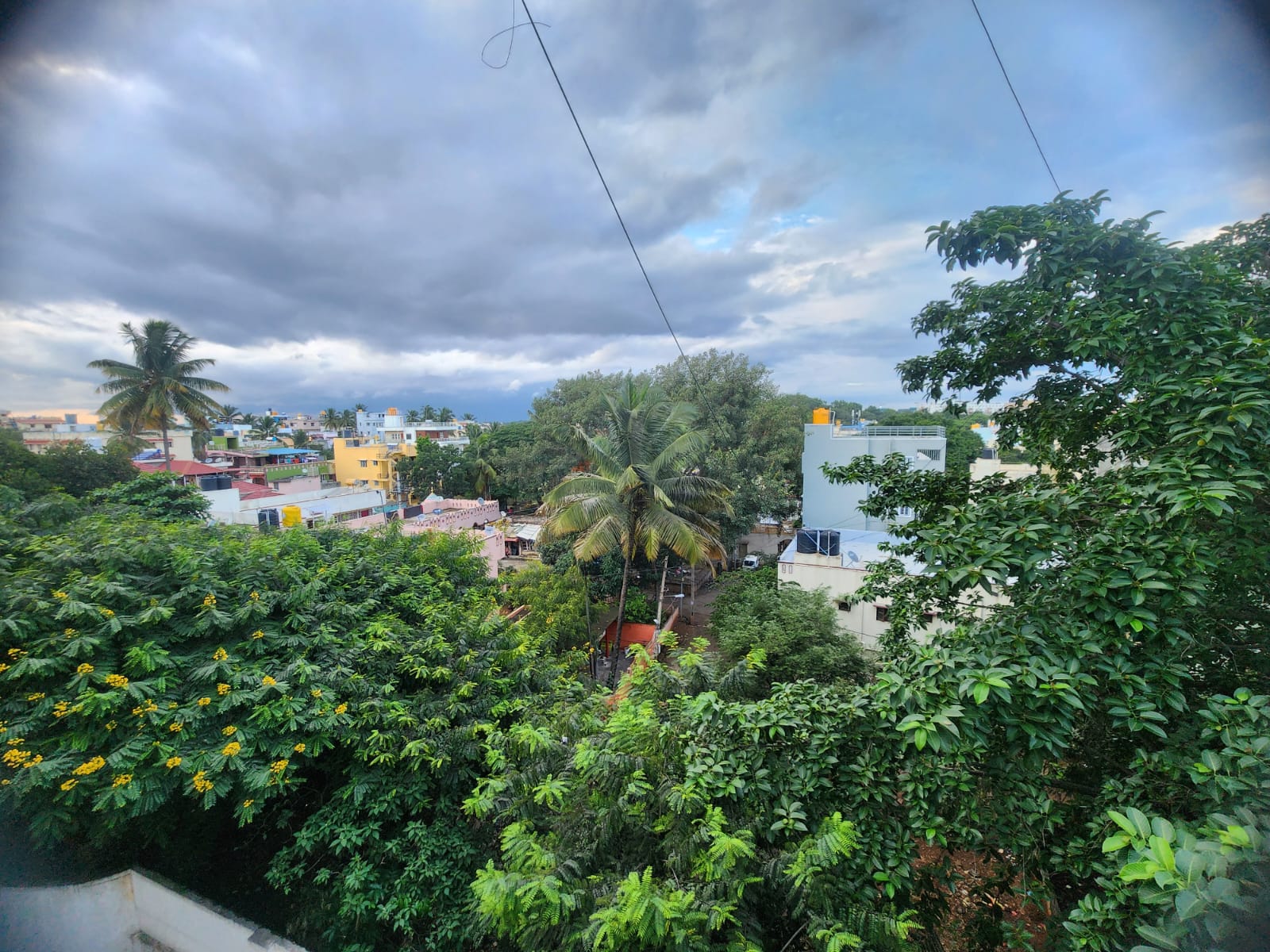 Aerial view of Bengaluru suburban landscape with coconut palms and colorful buildings under monsoon clouds